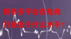 拼多多平臺在電商行業(yè)處于什么水平